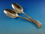 Florentine by Tiffany & Co Sterling Silver Flatware Set For 12 Service 160 Pcs