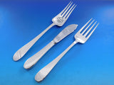 Salem by Tiffany & Co Sterling Silver Flatware Set 12 Service 176 pieces Dinner
