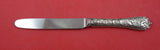 Zodiac By Gorham Sterling Silver Junior Knife replaced Sheffield blade 6 3/4"