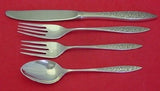 Spanish Lace by Wallace Sterling Silver Regular Size Place Setting(s) 4pc