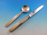 Zig Zag Lisa Jenks Lunt Stainless Steel Modernist Bar Gift Set Holiday Wine Bag