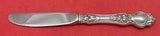 Violet by Wallace Sterling Silver Butter Spreader Hollow Handle Modern 6 3/8"