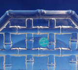 Bamboo by Tiffany and Co Crystal Serving Plate in Orig Box 1/2" x 7 3/4" (#8695)
