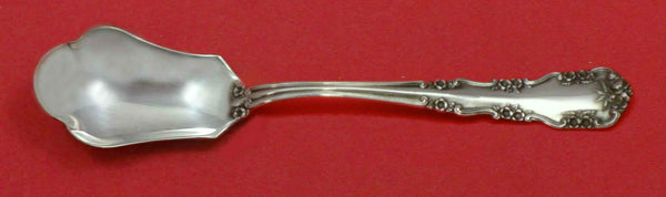 Wild Rose Old aka Rosalind Old by International Sterling Relish Scoop Custom