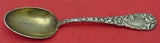 Chrysanthemum by Durgin Sterling Silver Teaspoon Dated 1895 Gold Washed