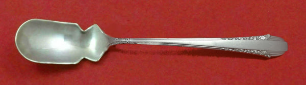 Enchantress by International Sterling Silver Horseradish Scoop Custom Made 5 3/4