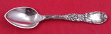 Chrysanthemum by Tiffany and Co Sterling Silver 4 O'Clock Spoon 3 7/8"