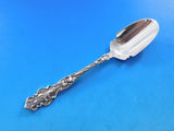 Irian by Wallace Sterling Silver Cheese Scoop Original 6" Serving Art Nouveau