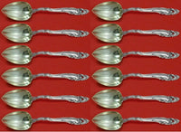 Decor by Gorham Sterling Silver Grapefruit Spoon Set 12 pieces 6"