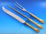 Athene by Amston Vermeil Gold Sterling Silver Flatware Set Service 171 pc Dinner