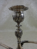 Chrysanthemum by Tiffany and Co Sterling Silver Candelabra Pair 3-Light (#0140)