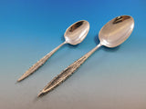 Floral Lace by Lunt Sterling Silver Flatware Set for 12 Service 54 Pieces