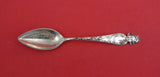 Sunny South by Shiebler Sterling Grapefruit Spoon "Royal Poinciana Palm Springs"