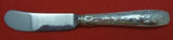 Audubon by Tiffany and Co Sterling Silver Butter Spreader HH Paddle 6" Heirloom