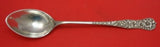 Rococo by Dominick and Haff Sterling Stuffing Spoon with button 14"
