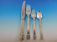 Northern Lights International Sterling Silver Flatware Set Service 43 pc Dinner