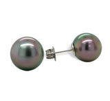 Fine Platinum Stud Earrings with 10.2mm Black Tahitian Pearls Jewelry (#J7120)
