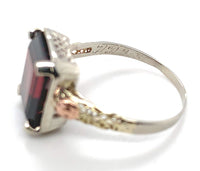 14k White Gold 5.48 Carat Genuine Natural Garnet Ring with Rose Gold (#J6555)