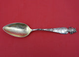 Sunny South by Shiebler Sterling Souvenir Spoon GW "Royal Poinciana FLA" 5 5/8"