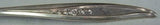 Twilight by Oneida Sterling Silver Mustard Ladle Custom Made 4 1/2"