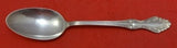 Princess Elizabeth by National Sterling Silver Serving Spoon 8 3/8" Vintage