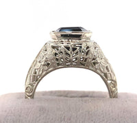 14k White Gold Art Deco 4.34ct Genuine Natural Tourmaline Filigree Ring (#J5762)