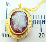 14K Gold Oval Shell Genuine Natural Cameo Stick Pin (#J2669)
