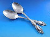 Brahms by Oneida Stainless Steel Flatware Set for 12 Service 68 pieces