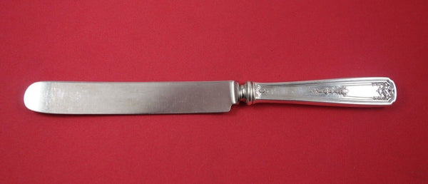 Oriana by Whiting Sterling Silver Regular Knife Blunt with Silverplate 8 1/2"