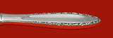 Lace Point by Lunt Sterling Silver Ham Slice Hollow Handle WS 11 1/2" Custom