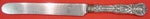 Saint James by Tiffany & Co. Sterling Regular Knife Blunt Silverplate 9 1/4"