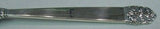 Northern Lights by International Sterling Silver Spinach Fork Custom Made 7 1/8"