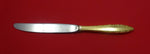 Lace Point Vermeil by Lunt Sterling Silver Regular Knife Modern 9"