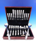 Designs from a different Dimension by Dary Rees Stainless Steel Flatware Set 44p