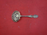 Pattern Unknown by Shiebler Sterling Nut Spoon GW pierced w/ iris 4 3/4"