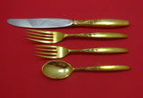 Summer Song Vermeil by Lunt Sterling Silver Regular Size Place Setting(s) 4pc