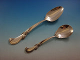 Waltz of Spring by Wallace Sterling Silver Flatware Set 8 Service 45 Pieces