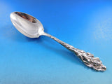 Love Disarmed by Reed and Barton Sterling Silver Serving Spoon 8 1/4" Heirloom