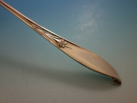 Wishing Star By Wallace Sterling Silver Regular Size Place Setting(s) 4pc