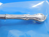 Joan of Arc by International Sterling Silver Ice Scoop HHWS 9" Custom