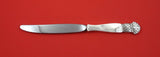 Grenada by Old Newbury Crafters ONC Sterling Silver Dinner Knife FH 9 5/8"