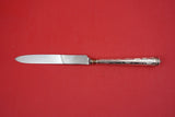 Lierre SP by Alain Saint Joanis Silverplate Dinner Knife 10 3/8"
