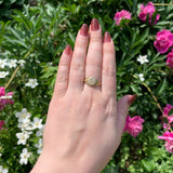 Victorian 14k Gold Signet Ring with "PNB" Monogram Size 9.25 Jewelry (#J7277)