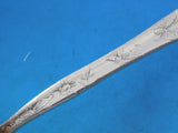 Lap Over Edge Acid Etched by Tiffany Sterling Sugar Sifter Butterfly Dragonfly
