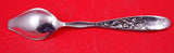 Vine by Tiffany and Co Sterling Silver Melon Spoon Blunt Morning Glory 6" w/Mono
