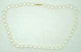 Cultured Pearl Strand Necklace with 14k Gold Clasp (#J2712)