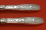 Audubon by Tiffany and Co Sterling Silver Roast Carving Set 2pc HH WS Knife 14"