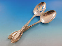 King Richard by Towle Sterling Silver Flatware Set for 12 Service 98 pieces
