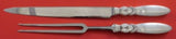 Cactus by Georg Jensen Sterling Silver Roast Carving Set 2pc HH WS 14 1/4"