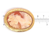 10k Gold Shell Cameo Pin Pendant Large Size 2" Hand Engraved Frame (#J6887)